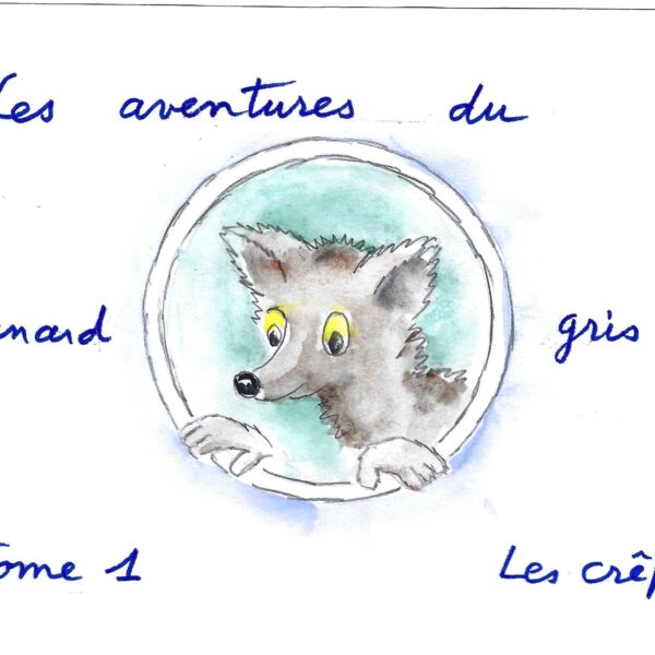 Les aventures du renard gris